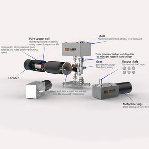 <span class=keywords><strong>Moteur</strong></span> à engrenages à <span class=keywords><strong>vis</strong></span> <span class=keywords><strong>sans</strong></span> <span class=keywords><strong>fin</strong></span> Faradyi personnalisé 12V 24V 36V 1 tr/min 50 tr/min à aimant permanent pour scooter de mobilité - Product Image 3