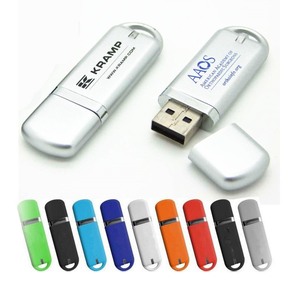 Wholesale Customized Logo Promotional USB Flash Drive Stick 1GB to 128GB Stock Metal Case with 2.0 Interface