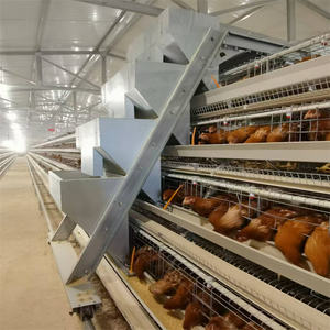 Endüstriyel a-tipi otomatik tavuk kümesi ev büyük katmanlı Broiler tavşan kafesi tavuklar döşeme için ucuz yeni durum çiftlik kaynağı - Product Image 2