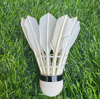 Volant de badminton en plastique expansé avec plumes de canard, construction 3 couches, vitesse 76-78, pour entraînement – Durable