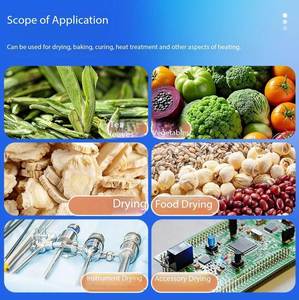 Food Dehydrator Dryer Varnish <b>Drying</b> Oven for Pasta & Vegetable <b>Drying</b> Fruit Dryer Oven - Product Image 5