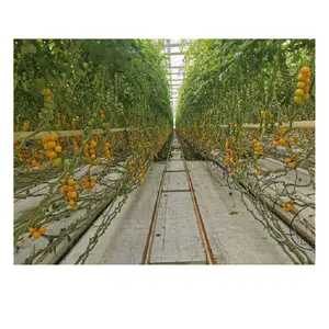 Future Farming Cultivation Gutter System für den Gartenbau für die hydro po nische Ernte