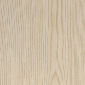 Cajón de Percusión para Adultos 1204 con Parches de Piel de Vaca y Cuerpo de Madera de Abedul para Uso Sentado, Ideal para Niños y Adultos - Product Image 4