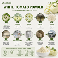 Natuurlijk wit tomatenextract fruitpoeder Halal-conform grondstof voor formuleerwerkzaamheden van voedselproducten voor export
