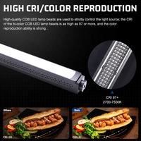 Équipement d'éclairage vidéo extérieur Zsyb à haute luminosité 100 W, bâton lumineux LED RVB portable pour la photographie professionnelle