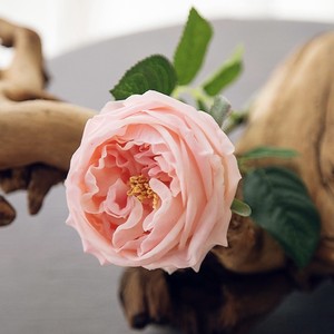High Quality <b>Single</b> Artificial Real Touch Silk Latex Faux White Pink David Austin Rose <b>Flower</b> for Wedding Party Decoration - Product Image 4