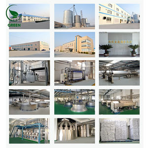 תוספת צמח לחלבון חיטה - Product Image 6