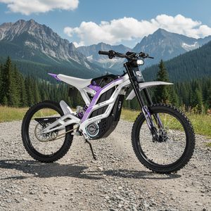 Motocicleta Todoterreno 79BIKE PRO, Motocicleta de Cross de 10kw - Product Image 1