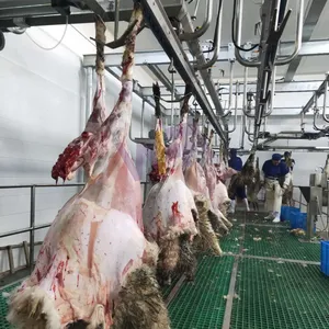 बीफ वधशाला के लिए उच्च स्वचालन मवेशी और भेड़ वध उपकरण शव मांस प्रसंस्करण लाइन
