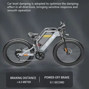 GOGOBEST-bicicleta eléctrica de montaña GF650, con Motor de 1000W, batería de 48V y 20AH, neumático ancho de 26 pulgadas, 100km, EU US