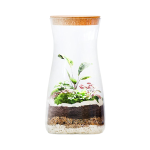 PYEF Crafts DIY <span class=keywords><strong>Terrarium</strong></span> für Erwachsene 34 Floz 1-Liter-Glasekosystem mit Sukkulenten Luft pflanzen Fittonia Fern Vase - Product Image 1