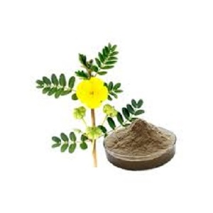 Polvo de extracto de hierbas Tribulus Terrestris 10:1 compatible con OEM, extracto de solvente empaquetado en tambor - Product Image 3