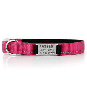 <span class=keywords><strong>Collar</strong></span> para Perro de Nailon Reflectante de Diseño con Placa Metálica, Otros Productos para Mascotas - Product Image 3