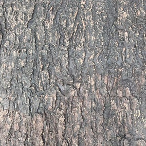 Adesivi <span class=keywords><strong>Murali</strong></span> Durevoli con Alberi Sintetici Artificiali, Impermeabili, Ecologici, Effetto Naturale, <span class=keywords><strong>Foglie</strong></span> Alte 60 cm, per Paesaggistica da Giardino - Product Image 3