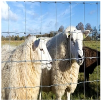 Paneles de Cerca Metálica 3D para Animales de Granja, Tratados Térmicamente, de Hierro, con Eslabones de Cadena, para Ganado, Caballos, Ovejas, Campo y Pradera, 4 pies, Venta al Por Mayor