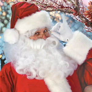 Costume de Père Noël en velours doré haut de gamme T-Joy pour enfants et parents, tenue de cosplay de Noël festive, tailles personnalisées - Product Image 3