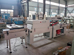 Máquina Automática de Envasado por Termocontracción Lateral con Sellado Hermético y Alta Seguridad - Product Image 4