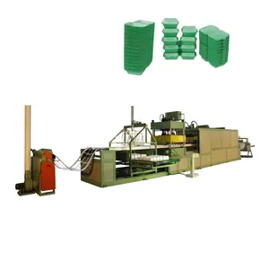 Foam Take Out Containers Plates Making Machine PS Fast Food Box Production Line Automatic New Product 2024