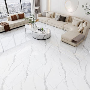 제조업체 가격: 300*300/600*600mm 실내 칙칙한 흰색 세라믹 바닥 타일 얼룩 방지 및 낮은 흡수율 - Product Image 1