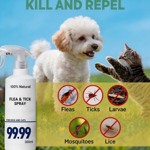 <span class=keywords><strong>Spray</strong></span> <span class=keywords><strong>anti</strong></span>-puces et tiques à marque privée, protection antiprurigineuse pour animaux, défense naturelle écologique contre les parasites, <span class=keywords><strong>spray</strong></span> cutané <span class=keywords><strong>anti</strong></span>-inflammatoire, Chine - Product Image 4