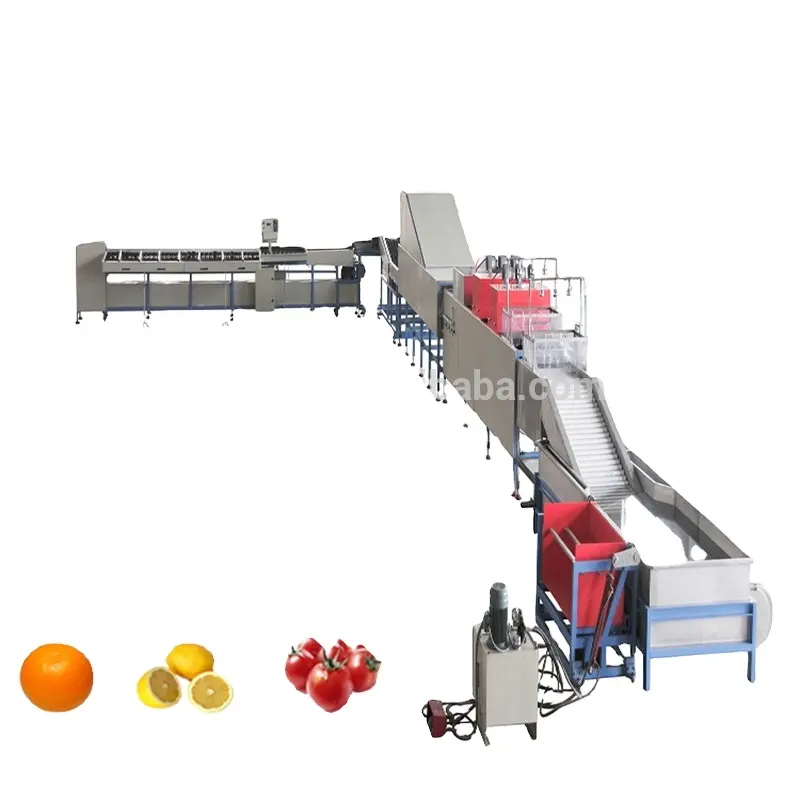 ماكينة فرز أوزان الطماطم/الأفوكادو/البرتقال/التفاح وآلة تصنيف الوزن