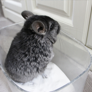 Sable de bain pour hamsters 100% naturel de l'usine Dongnai PETS, infusé à la lavande, fabriqué à partir de dolomite - Product Image 6