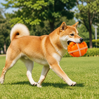 Jouet couineur pour chien en latex naturel, adorable jouet à mâcher pour chien en forme de crabe, jouet de dentition souple pour chiots et chiens de petite et moyenne taille
