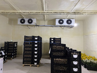 Système de réfrigération pour chambre froide sur mesure, unité de condensation encastrée avec refroidisseur d'air pour projet de stockage frigorifique en entrepôt
