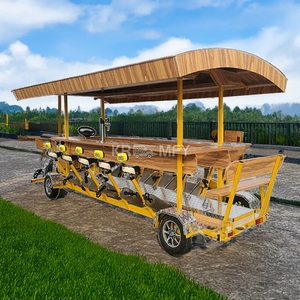 Triciclo de Lujo de 4 Ruedas para Adultos, Bicicleta Publicitaria para Pub, Bicicleta Urbana con Pedales de Energía Solar, Bicicleta para Fiestas, Bicicleta para Paseos en Bote - Product Image 3