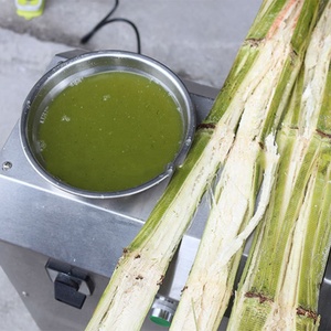Máquina de extracción de jugo de caña de azúcar portátil de acero inoxidable - Product Image 2