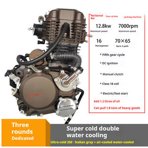 Motor de Motocicleta de 250cc, Refrigerado por Agua - Product Image 3