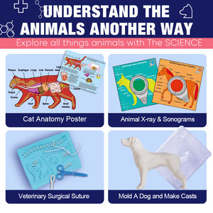 Faire semblant vétérinaire Pet Doctor Set éducatif de base vétérinaire laboratoire outils d'enseignement Science ingénierie jouets <span class=keywords><strong>Kit</strong></span> pour la Science - Product Image 3