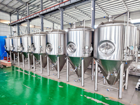 Fermenteur conique en acier inoxydable TONSEN 750L, cuve de fermentation à double enveloppe pour brasseries artisanales et brasseries-restaurantes