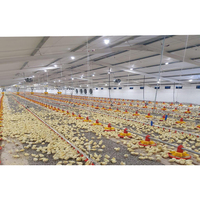 Conception et planification automatiques d'élevages de poulets de chair