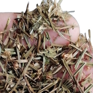 Ban <span class=keywords><strong>Zhi</strong></span> <span class=keywords><strong>Lian</strong></span> Bán Số Lượng Lớn Khô Tự Nhiên Hoang Dã Scutellaria Barbata Cắt Giảm - Product Image 2