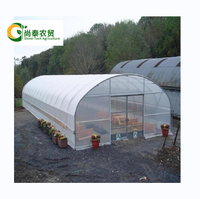 Tunnel PE à travée unique agricole de petite serre commerciale de haute qualité facilement installé pour la culture de légumes