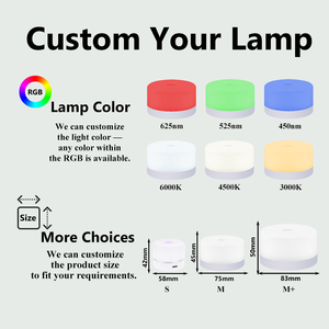 <span class=keywords><strong>Veilleuse</strong></span> LED tactile USB intelligente et portable, <span class=keywords><strong>rechargeable</strong></span>, à intensité variable, pour bébé, chambre d'enfant, salon, idéale pour le sommeil et les voyages - Product Image 3