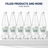 Machine de remplissage et de bouchage automatique de bouteilles en PET et en verre pour eau potable pure, avec servomoteur de haute précision