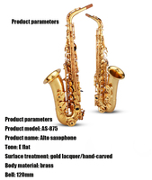 Starway Custom High Quality Alto Saxophone E Flat Brass Body Wind Musical Instruments for Professional Band