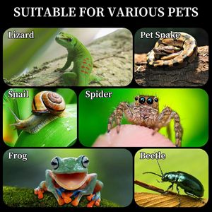 Enclos en acrylique pour araignées sauteuses, terrarium pour reptiles, habitat pour petits animaux, boîte d'élevage pour tarantules, insectes, serpents, lézards - Product Image 5