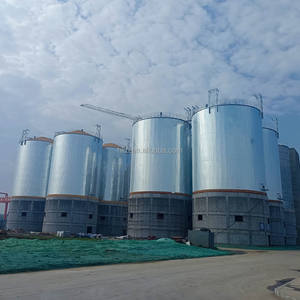 500 Ton 800 Tons Silos de almacenamiento Silos de metal Silo de almacenamiento de granos Maíz 2500t - Product Image 3