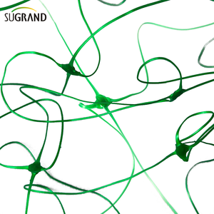 ตาข่ายรองรับต้นไม้ปีนเขาขนาด8ก. 15X15ซม.,ตาข่ายรองรับแตงกวา - Product Image 4