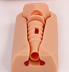 Tachea cilt seti için gelişmiş PVC yetişkin trakeostomi simülatörü Cricothyrotomy ve entübasyon eğitim modeli takviyesi - Product Image 5