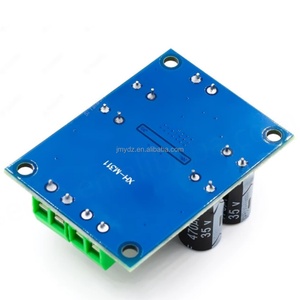 XH-M311 Mini Versión TPA3118 Placa Amplificadora de Audio Digital Módulo Amplificador de Potencia Mono 60W - Product Image 5