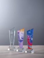 Trophée commémoratif sur le thème de l'année du Dragon Plaque de médaille en résine et cristal combinés pour les cadeaux de salons professionnels