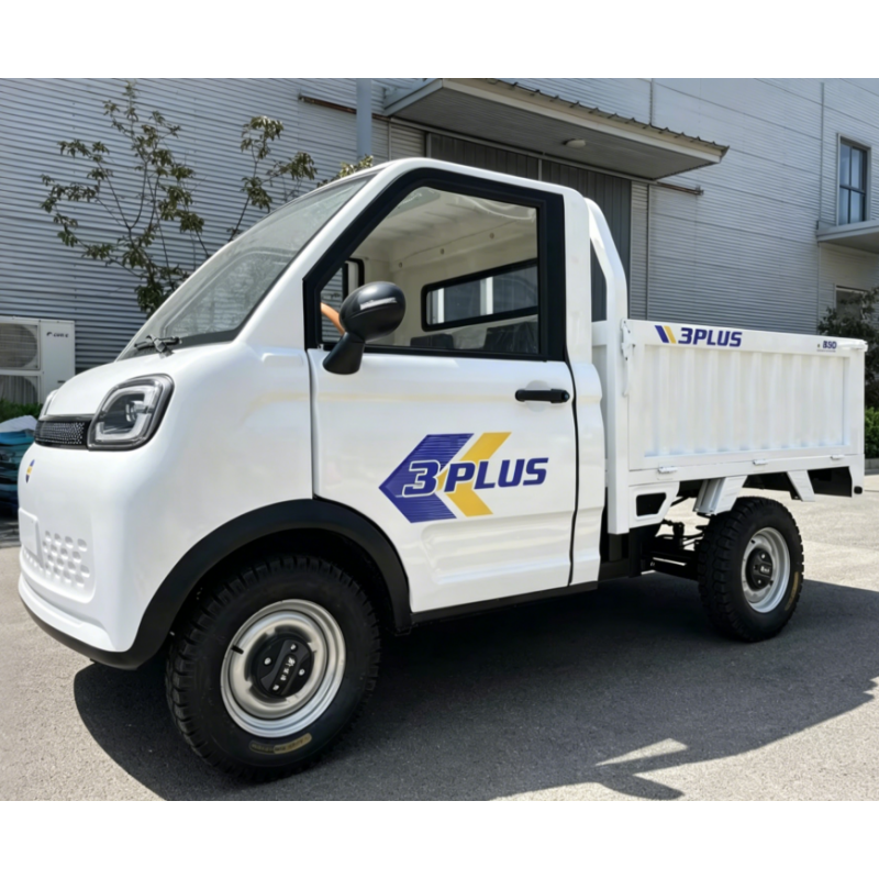EEC COC Certified LHD 3500w Electric