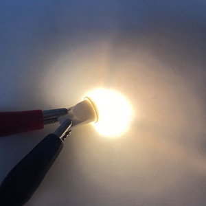 ADT lumière douce haute luminosité 6.3V couvercle givré avec 2LED 5630SMD blanc chaud <span class=keywords><strong>194</strong></span> T10 555 Wedge LED flipper ampoule lumières - Product Image 6