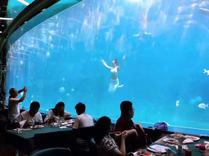 Murale d'<span class=keywords><strong>aquarium</strong></span> en acrylique, aquascape, fournisseurs d'aquariums, <span class=keywords><strong>aquarium</strong></span> en verre, mur intérieur d'<span class=keywords><strong>aquarium</strong></span> - Product Image 6