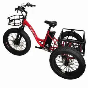 2024 hot sale T-48v1000w 48v 15Ah Battery electric tricycle for adults Factory supply ebike eu warehouse