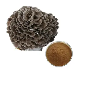 Hot Sale Maitake Mushroom Extract Organic Grifola Frondosa Plant Extract Maitake Mushroom Extract Powder